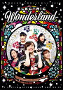 ももいろクリスマス2017 〜完全無欠のElectric Wonderland〜 LIVE DVD(初回限定版) [ ももいろクローバーZ ]