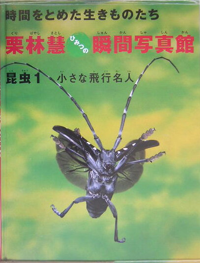 栗林慧ひみつの瞬間写真館（昆虫 1）