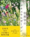 NHK趣味の園芸おぎはら流がんばらなくても幸せな庭宿根草のナチュラルガーデン生活実用シリーズ[荻原範雄]