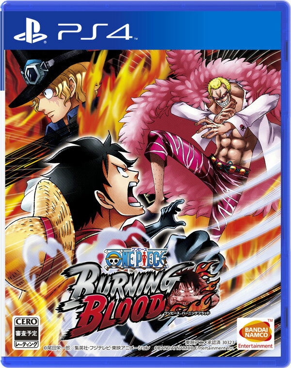 ONE PIECE BURNING BLOODのパッケージ画像