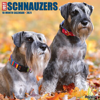 Just Schnauzers 2021 Wall Calendar (Dog Breed Calendar) JUST SCHNAUZERS 2021 WALL CAL [ Willow Creek Press ]