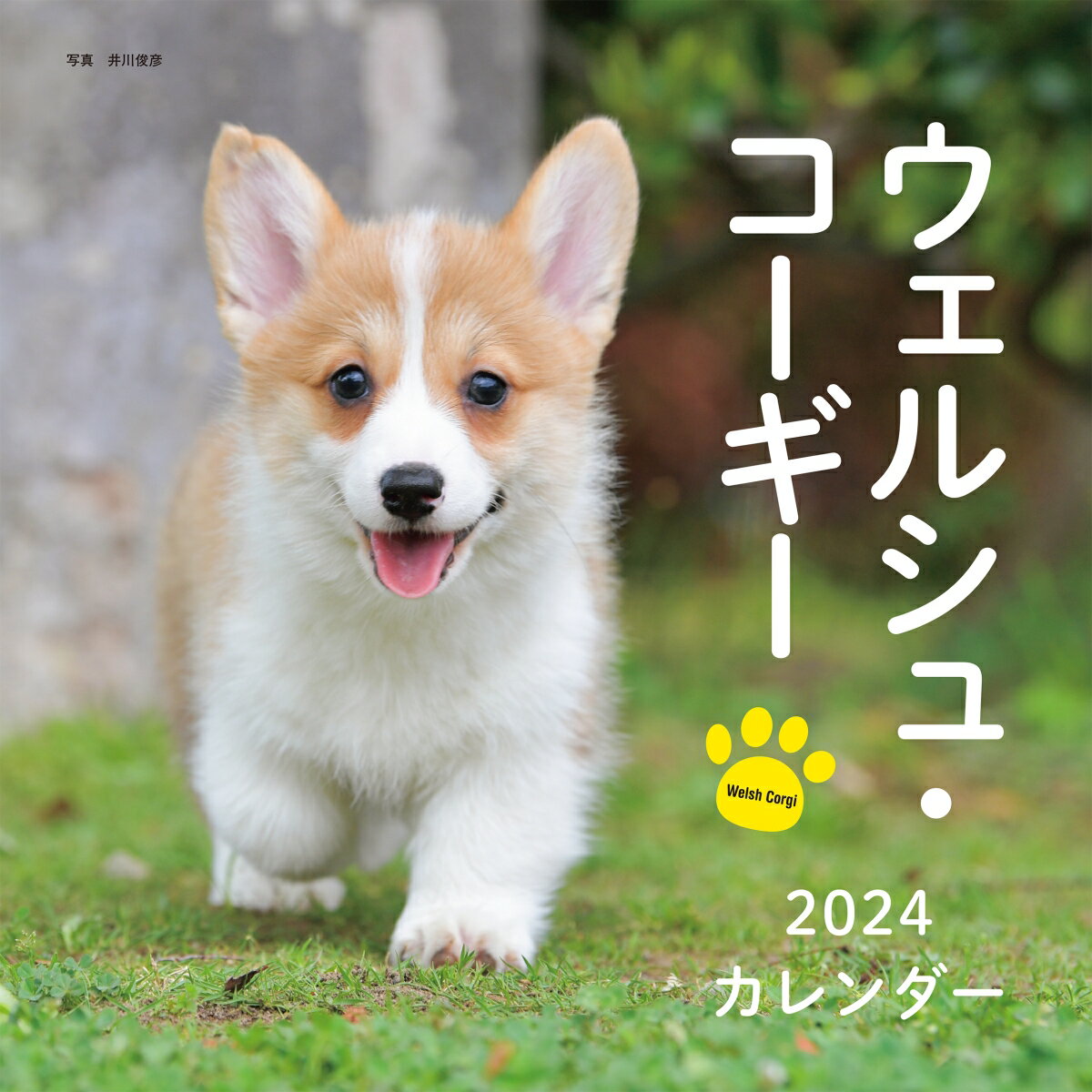 2024年カレンダー ウェルシュ・コーギー