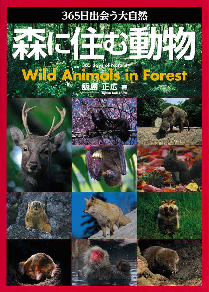 365日出会う大自然森に住む動物