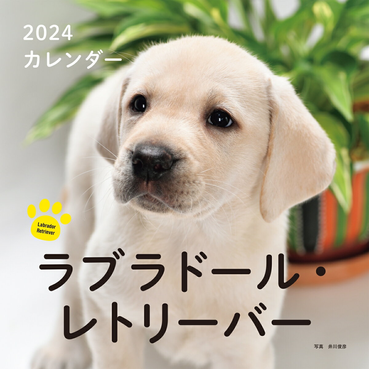 2024年カレンダー ラブラドール・レトリーバー