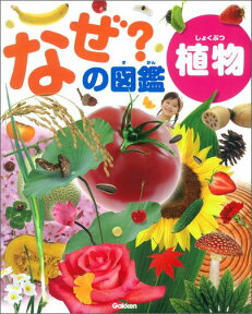 なぜ？の図鑑（植物） [ 海老原淳 ]