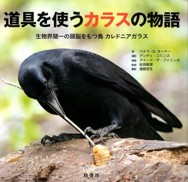 道具を使うカラスの物語 生物界随一の頭脳をもつ鳥カレドニアガラス 