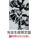 楽天楽天ブックス【先着特典】Plastic Tree （完全生産限定盤 CD＋DVD＋BOOK）（Plastic Tree 三十周年“樹念”ロゴ・ステッカー） [ Plastic Tree ]