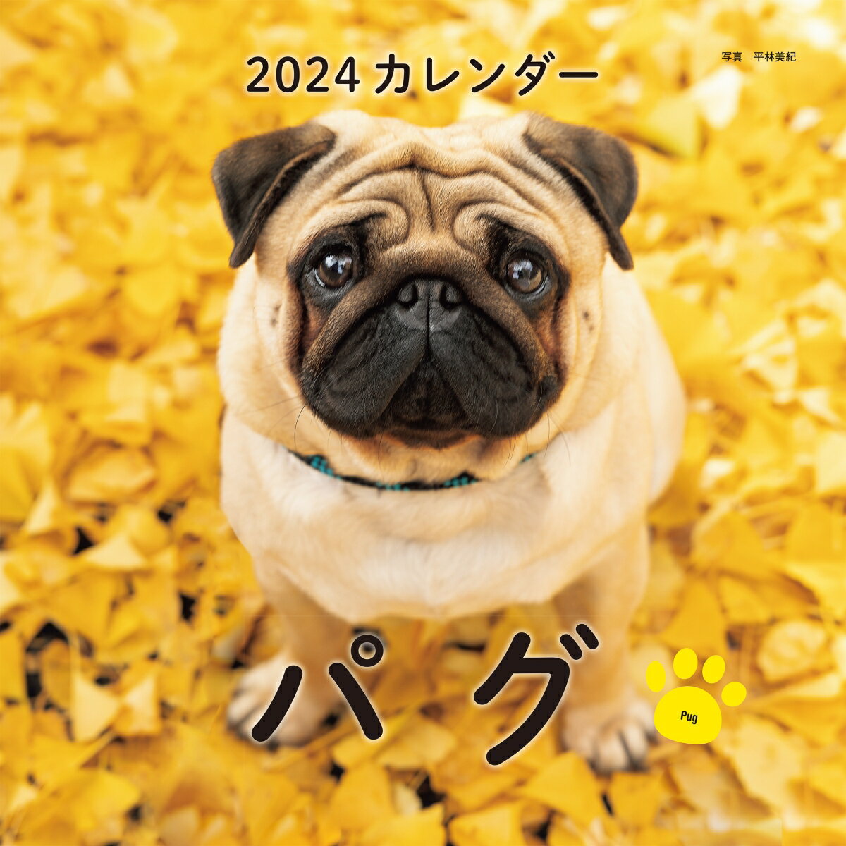 2024年カレンダー パグ （誠文堂新光社カレンダー） [ 平林 美紀 ]