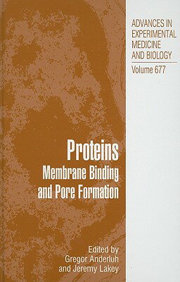 Proteins: Membrane Binding and Pore Formation