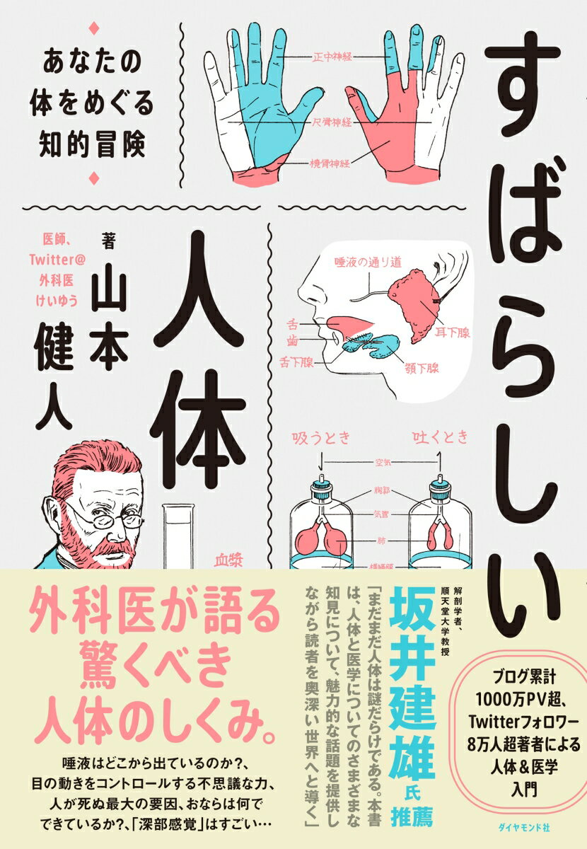 すばらしい人体 あなたの体をめぐる知的冒険 [ 山本　健人 ]