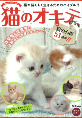 猫のオキテ