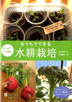 はじめてでも簡単!おうちでできる水耕栽培 材料は100円ショップで!安心・安全の野菜、ハーブの表紙