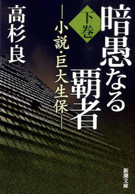 暗愚なる覇者　下