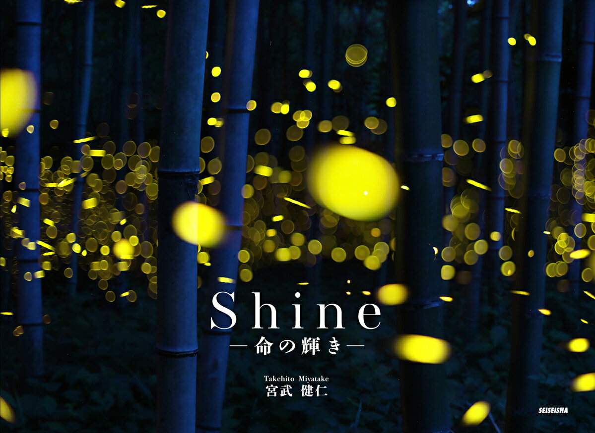 Shine -命の輝きー