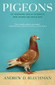 Many people consider the ubiquitous pigeon to be a pest. But as Blechman demonstrates in his enjoyable and informative book, this much-maligned bird has served humans well for thousands of years.