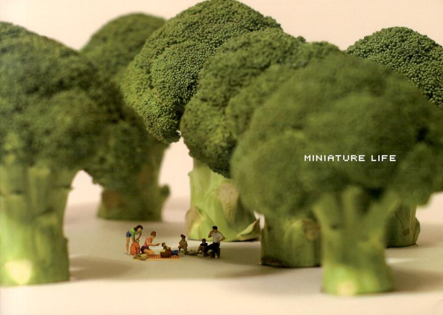 MINIATURE LIFE [ MiniatureCalendar ]פ򸫤