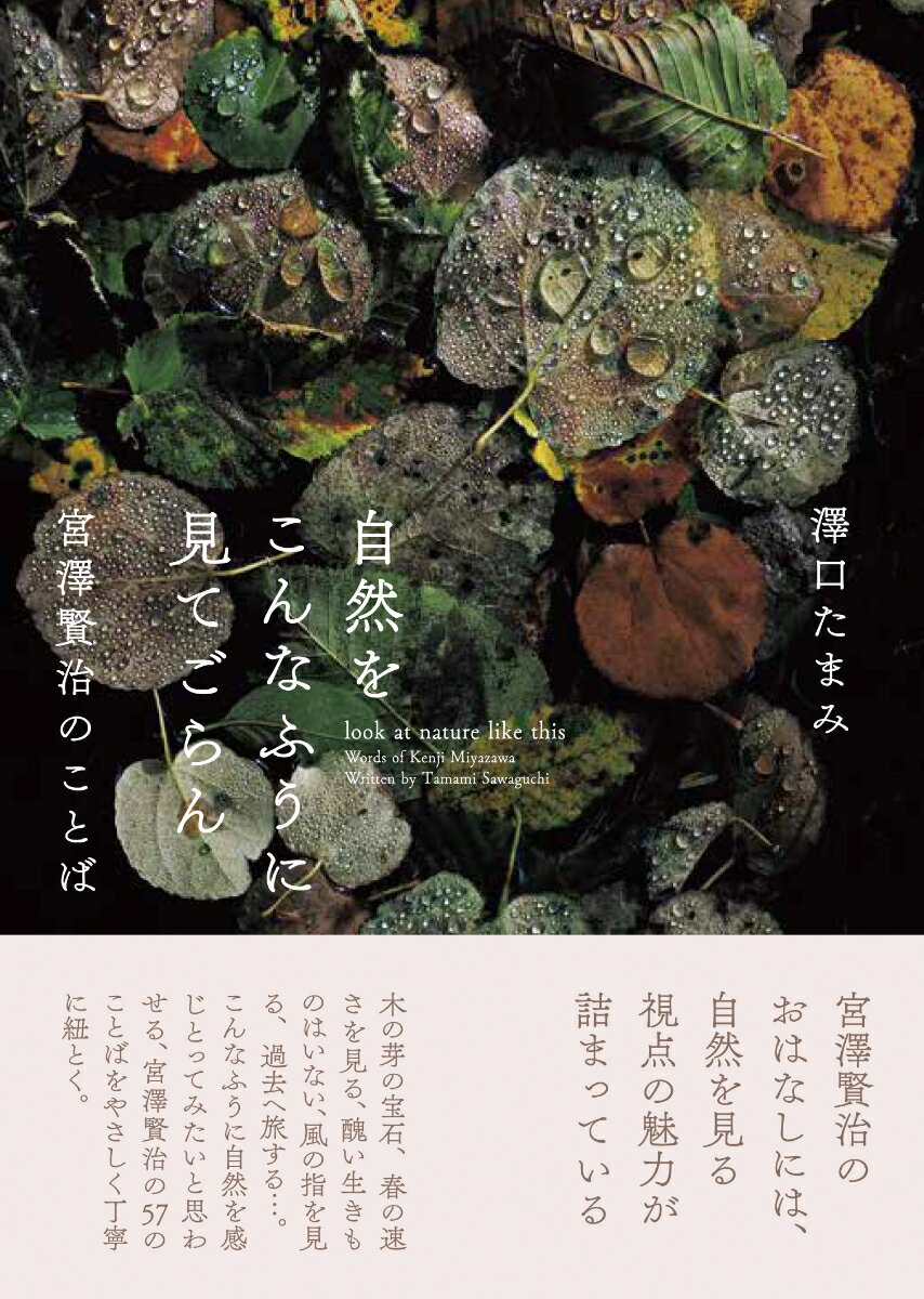 宮澤賢治のおはなしには、自然を見る視点の魅力が詰まっている。木の芽の宝石、春の速さを見る、醜い生きものはいない、風の指を見る、過去へ旅する…。こんなふうに自然を感じとってみたいと思わせる、宮澤賢治の５７のことばをやさしく丁寧に紐とく。