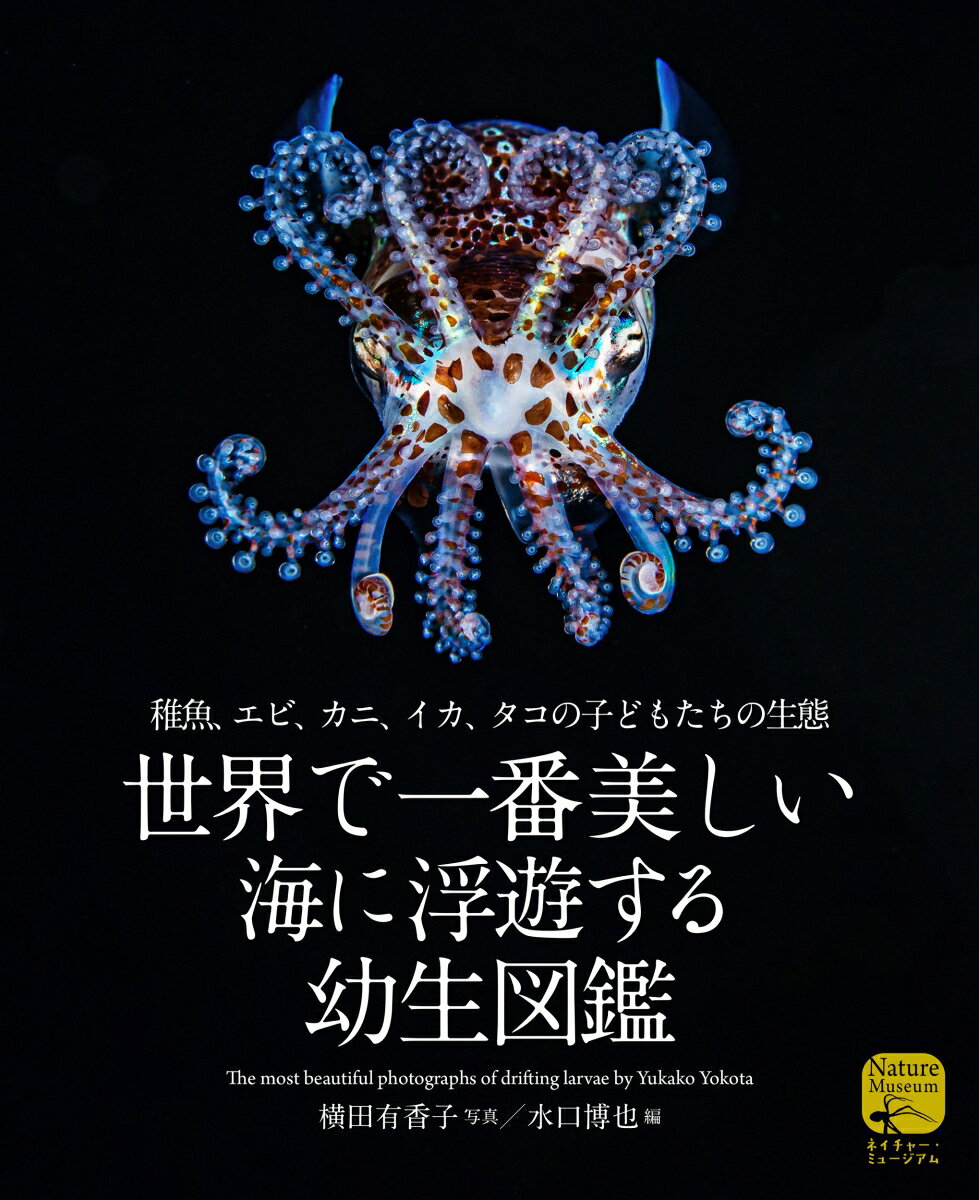 世界で一番美しい 海に浮遊する幼生図鑑 稚魚、エビ、カニ、イカ、タコの子どもたちの生態 [ 横田 有香子 ]