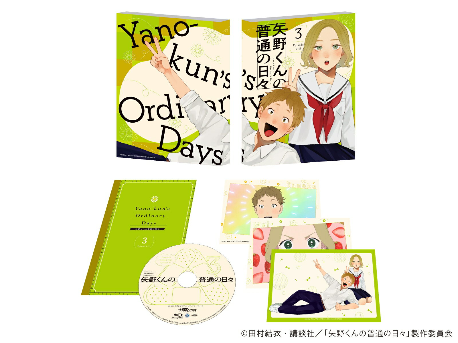 矢野くんの普通の日々 3