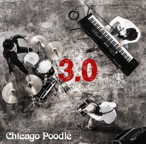 3 [ Chicago Poodle ]
