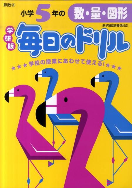 ����5ǯ�ο����̡��޷�����