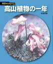 高山植物の一年新装版 （科学のアルバム） 白籏史朗