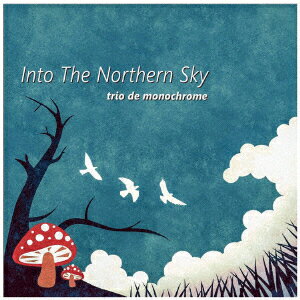 Into The Northern Sky