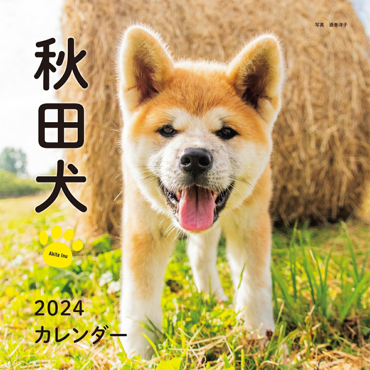 2024年カレンダー 秋田犬 （誠文堂新光社カレンダー） [ 酒巻 洋子 ]