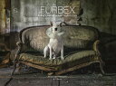 Furbex: A Dog 039 s Life of Urban Exploration FURBEX Alice Van Kempen