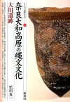 奈良大和高原の縄文文化・大川遺跡 （シリーズ「遺跡を学ぶ」） [ 松田真一 ]