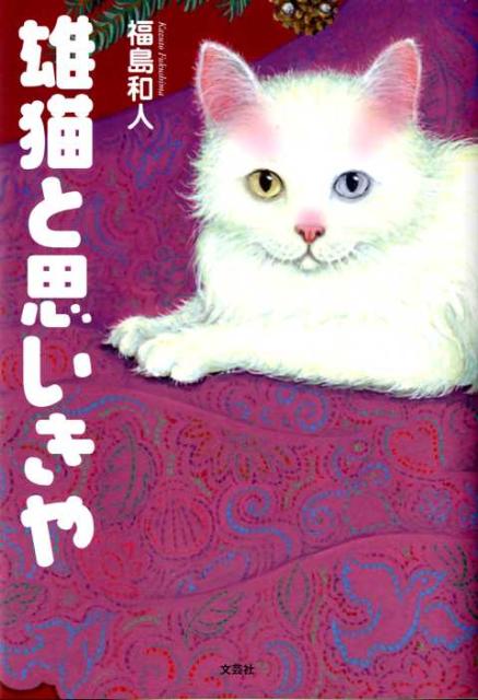 雄猫と思いきや