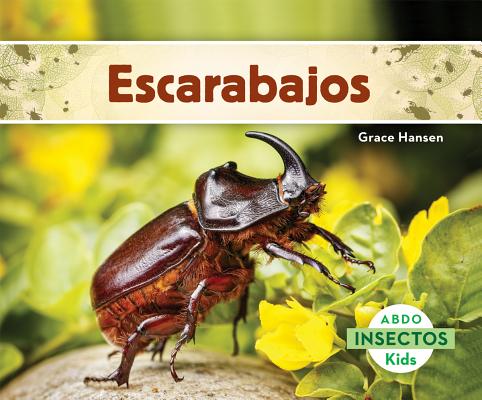 Escarabajos (Beetles) SPA-ESCARABAJOS (BEETLES) （Insectos (Insects)） 
