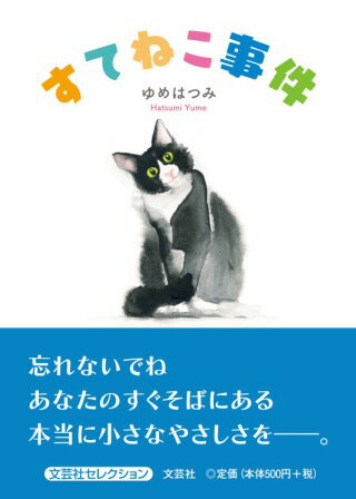 すてねこ事件