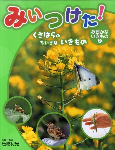 みいつけた！みぢかないきもの（2） くさはらのちいさないきもの [ 松橋利光 ]