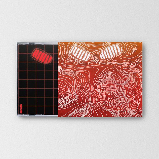 【輸入盤】センシズ