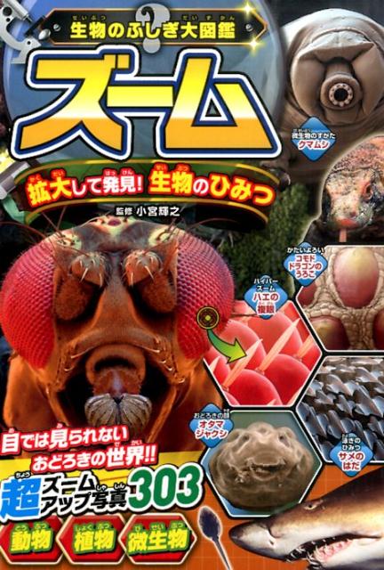 ズーム拡大して発見！生物のひみつ