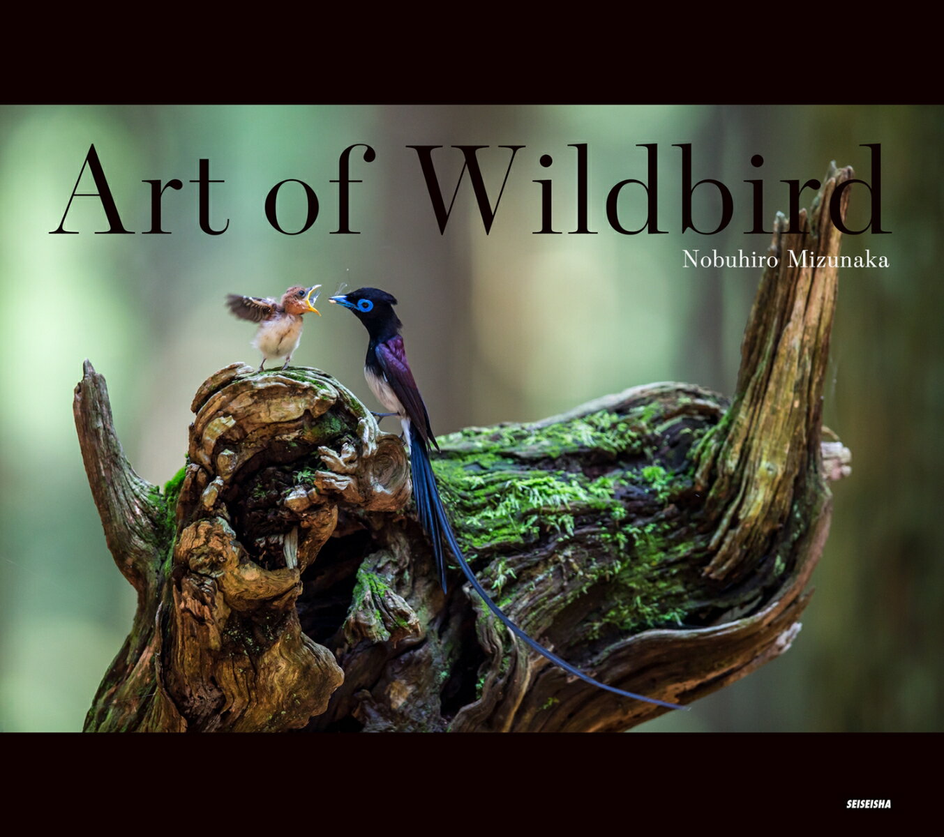 Art of Wildbird （アート・オブ・ワイルドバード）