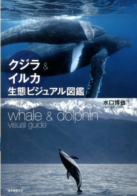 クジラ＆イルカ生態ビジュアル図鑑