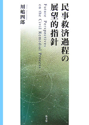 民事救済過程の展望的指針 [ 川嶋四郎 ]