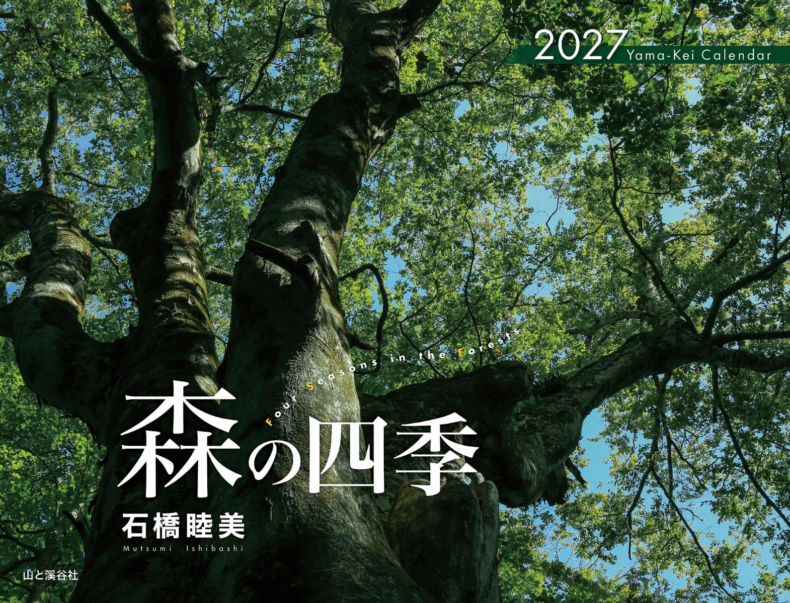 カレンダー2027 森の四季（月めくり/壁掛け/風景 日本）の表紙