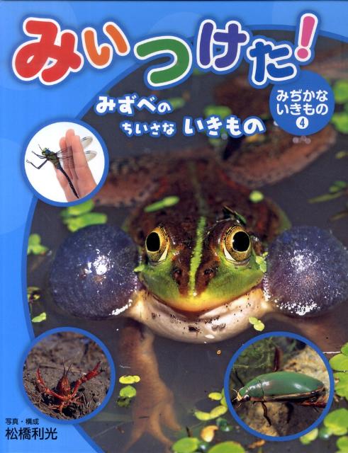 みいつけた！みぢかないきもの（4） みずべのちいさないきもの [ 松橋利光 ]