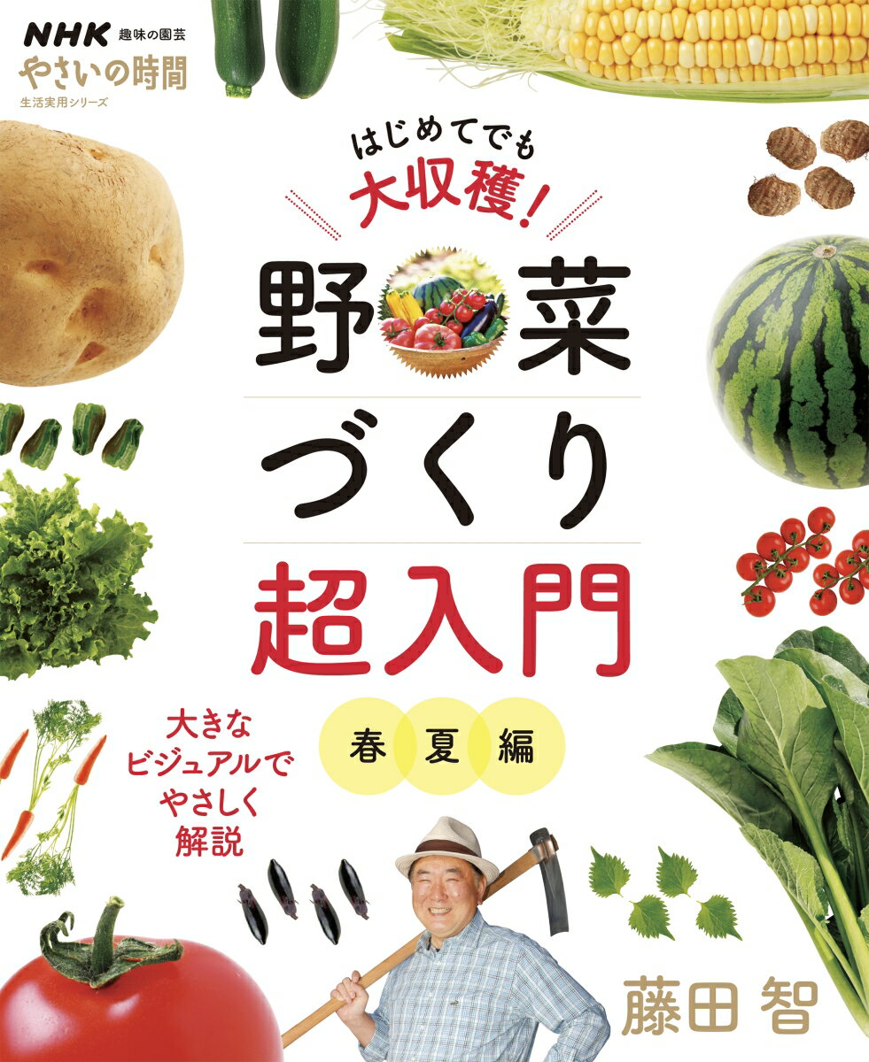 NHK趣味の園芸　やさいの時間　はじめてでも大収穫！　野菜づくり超入門　春夏編 （生活実用シリーズ） [ 藤田 智 ]