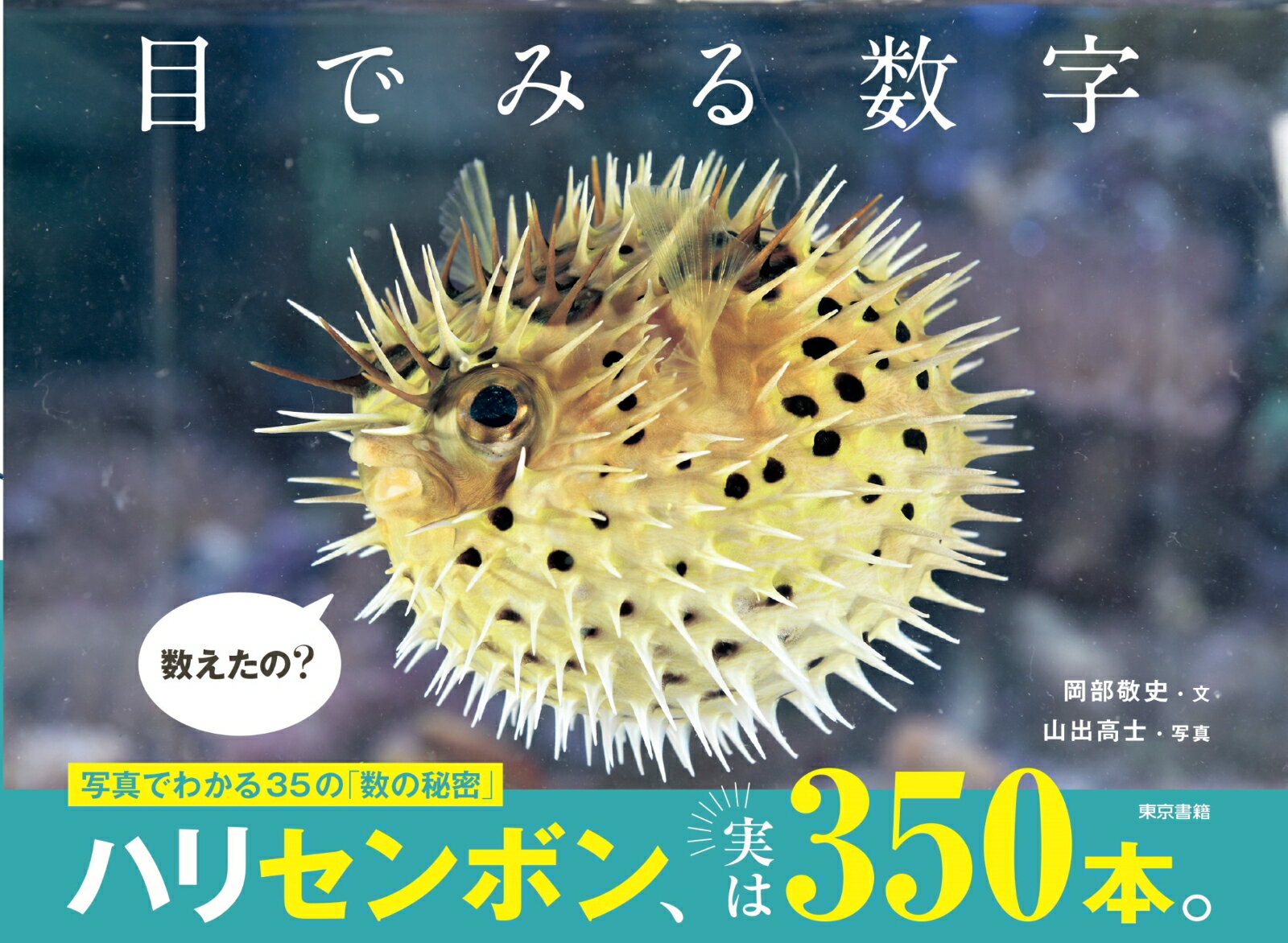 七叉路（七辻交差点）、４５ｃｍ（横断歩道）、５ｋｍ（水平線までの距離）、百尺（百尺観音）、３００：１（花粉／コロナウイルス）、２２％（のぞき坂）、徒歩１分（小名木川クローバー橋）…他。写真でわかる３５の「数の秘密」。