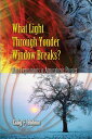 What Light Through Yonder Window Breaks : More Experiments in Atmospheric Physics WHAT LIGHT THROUGH YONDER WIND （Dover Science Books） Craig F. Bohren