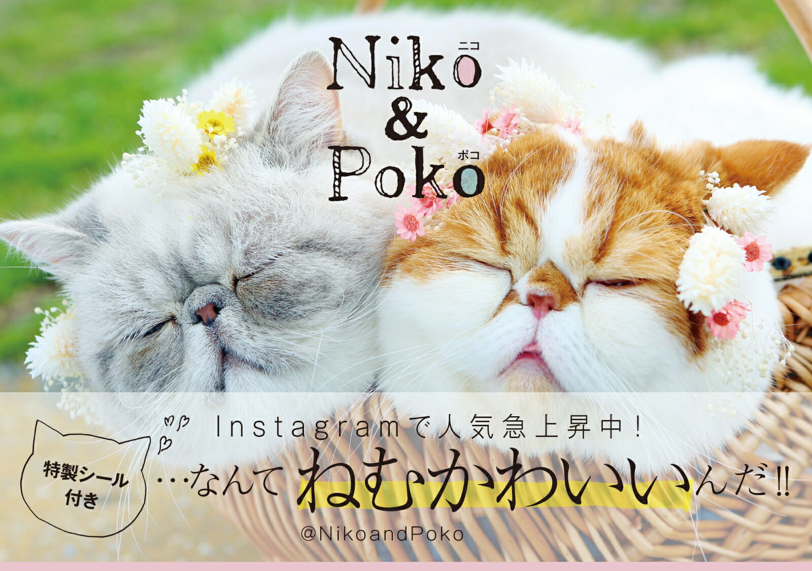 Niko＆Poko