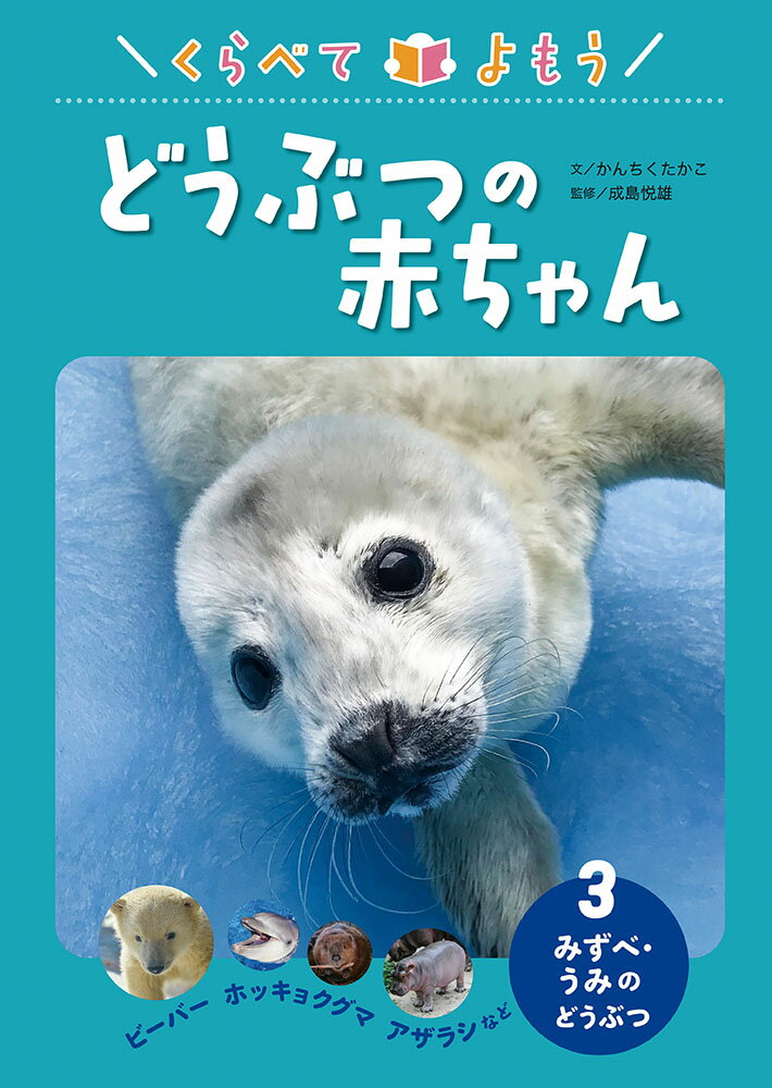 みずべ・うみの　どうぶつ　ビーバー　ホッキョクグマ　アザラシなど