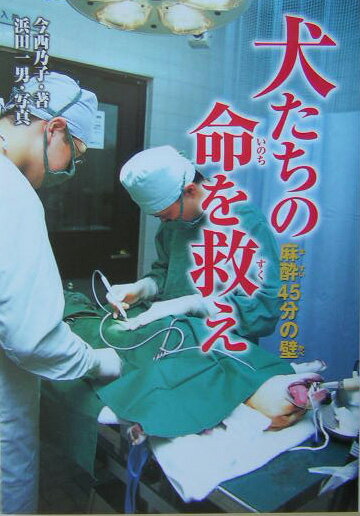 犬たちの命を救え