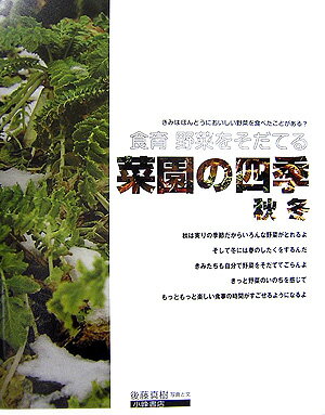 菜園の四季（秋冬） （食育野菜をそだてる） [ 後藤真樹 ]のサムネイル