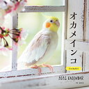 2024年カレンダー オカメインコ （誠文堂新光社カレンダー） [ 蜂巣 文香 ]