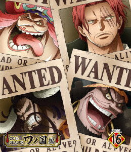 ONE PIECE ワンピース 20THシーズン ワノ国編 PIECE.16【Blu-ray】